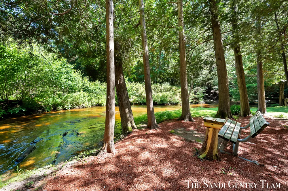 1360 E Bigelow Creek Trail Newaygo, MI 49337