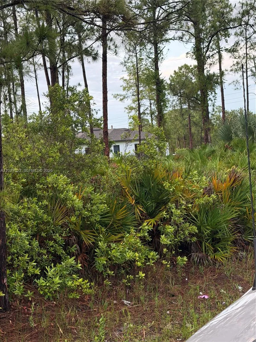 3204 32 ST W Lehigh Acres, FL 33971