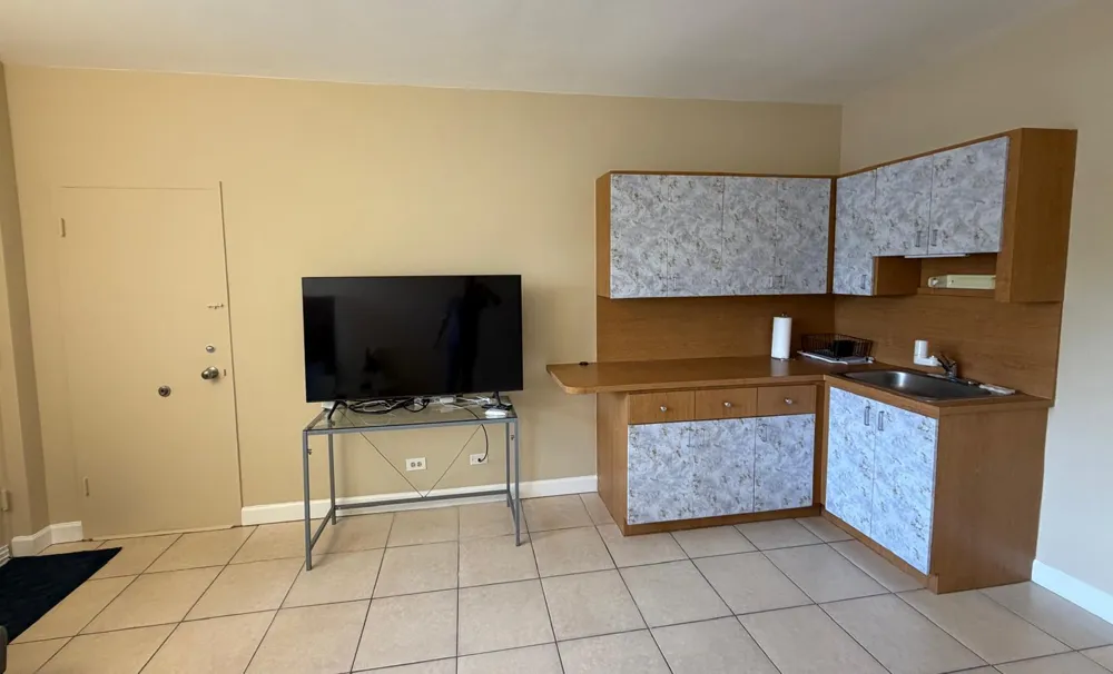 26 Diplomat Parkway #2880 Hallandale Beach, FL 33009