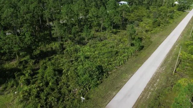1115 Chiefland Street E Lehigh Acres, FL 33974