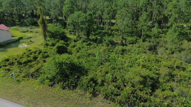 1115 Chiefland Street E Lehigh Acres, FL 33974