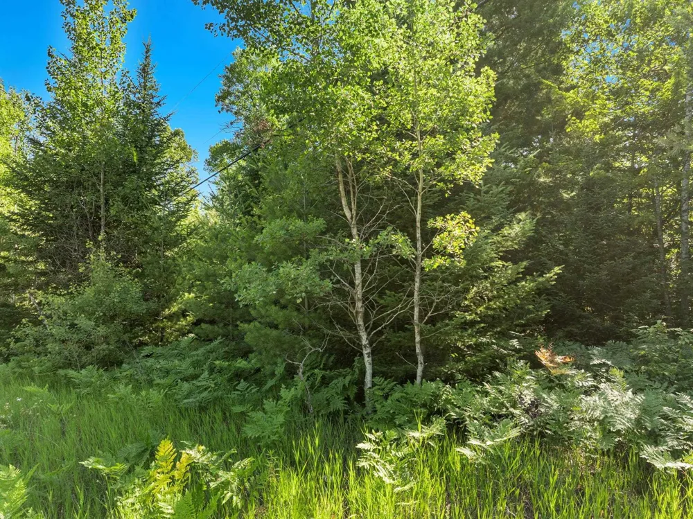 S Garfield Road Paradise Township, MI 49649