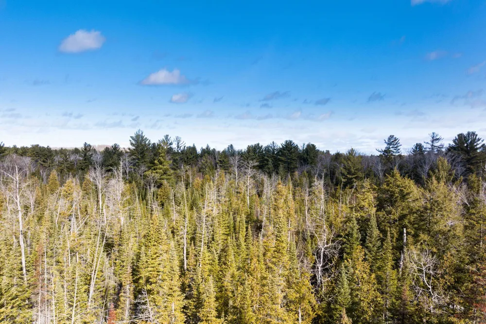 S Garfield Road Paradise Township, MI 49649