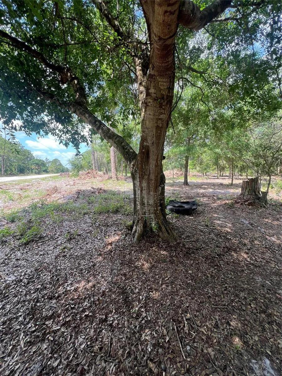 681 Perimeter Road Clewiston, FL 33440
