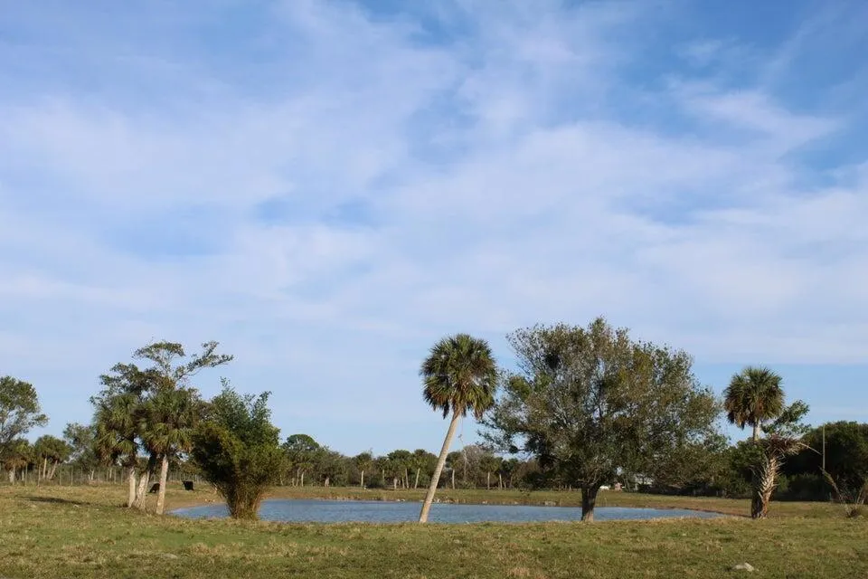 2410 S Brocksmith Road Fort Pierce, FL 34945