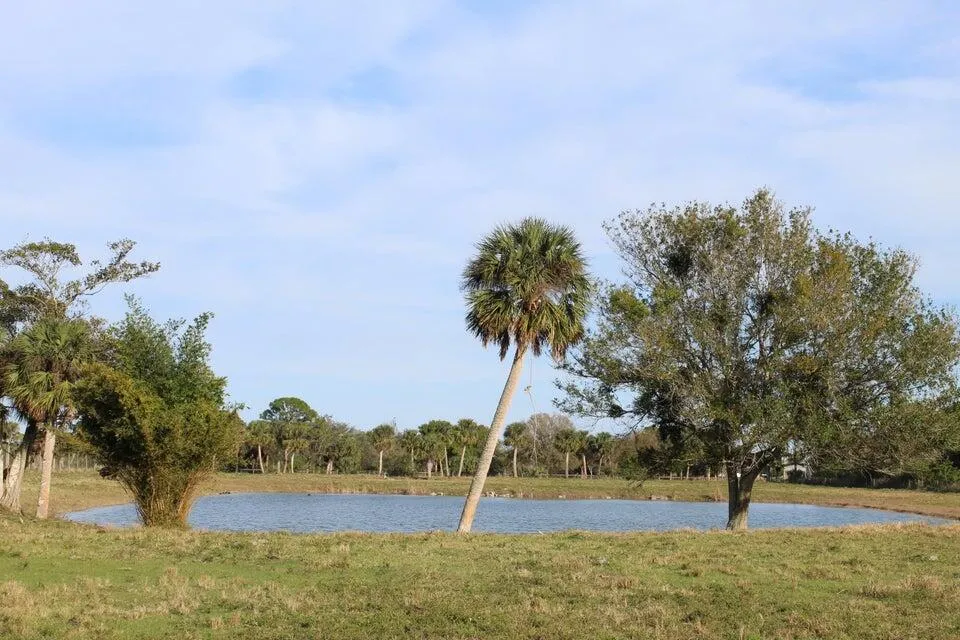 2410 S Brocksmith Road Fort Pierce, FL 34945