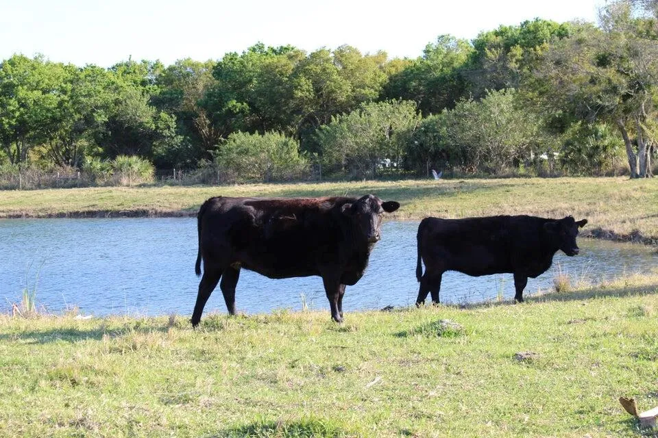 2410 S Brocksmith Road Fort Pierce, FL 34945