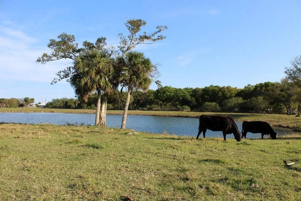 2410 S Brocksmith Road Fort Pierce, FL 34945