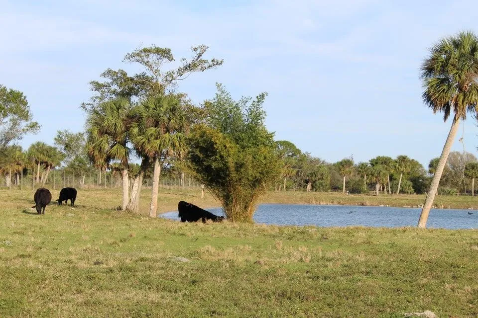 2410 S Brocksmith Road Fort Pierce, FL 34945