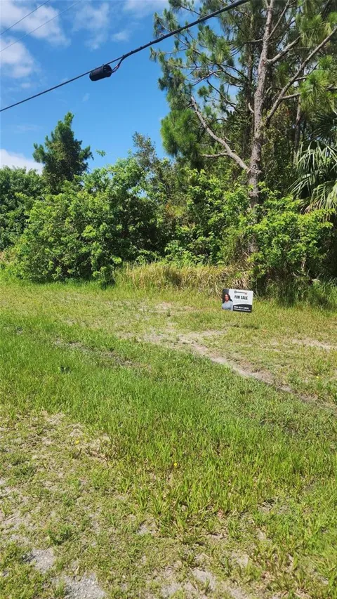 202 Haines Road