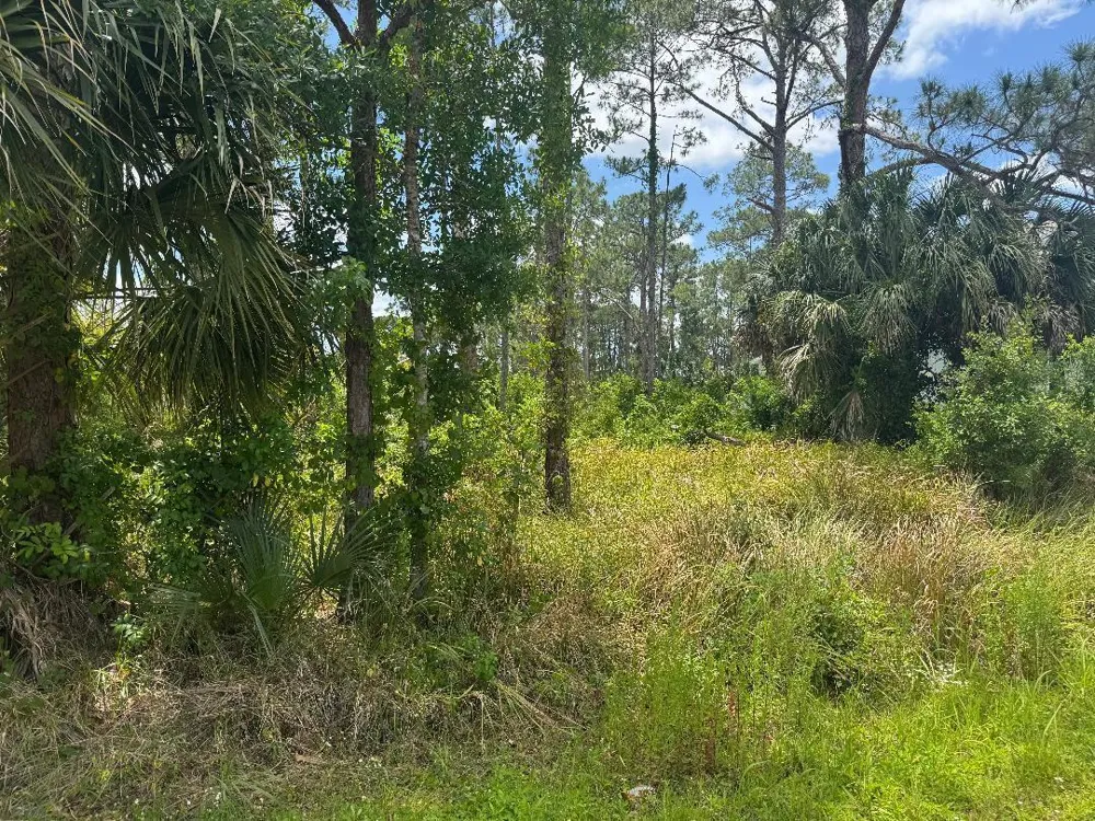 1458 Transcoro Street SE Palm Bay, FL 32909