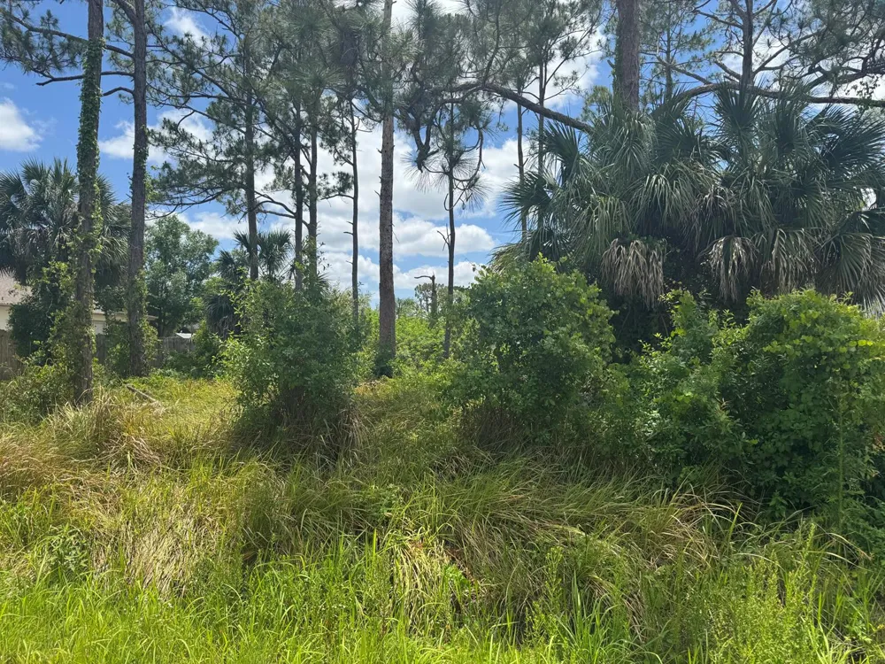 1458 Transcoro Street SE Palm Bay, FL 32909
