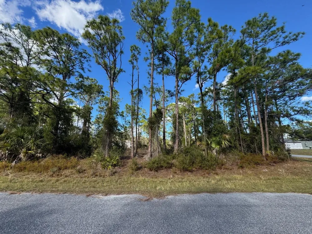 Sturrup Street North Port, FL 34291