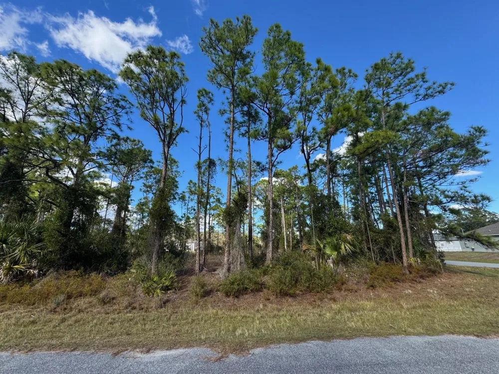 Sturrup Street North Port, FL 34291