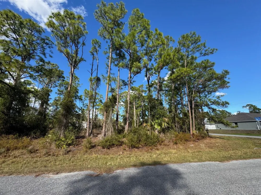 Sturrup Street North Port, FL 34291