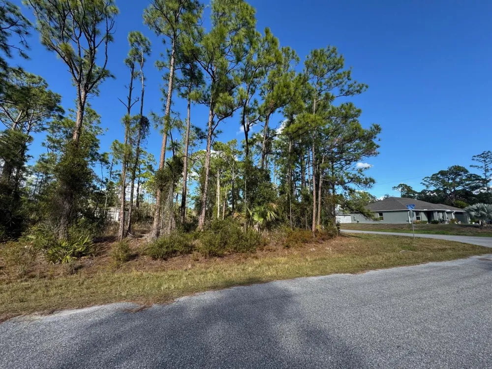 Sturrup Street North Port, FL 34291