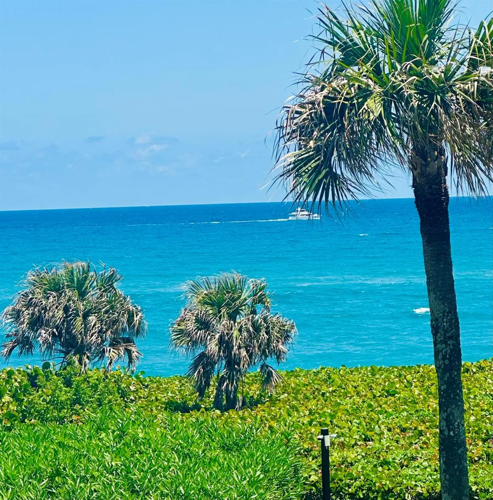 420 Celestial Way #301 Juno Beach, FL 33408