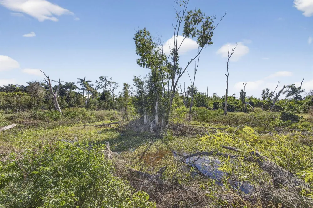 16296 Deer Path Lane Wellington, FL 33470
