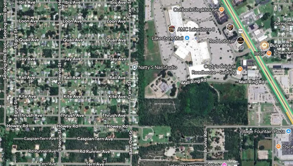 215 Roadrunner Avenue Sebring, FL 33870
