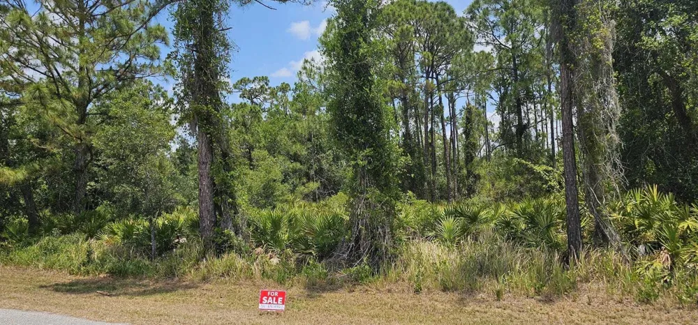 20216 Elrose Avenue Port Charlotte, FL 33954