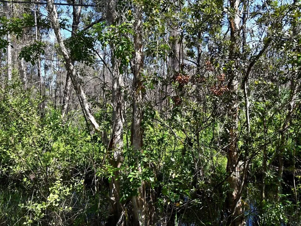 Dyer Road Fort Pierce, FL 34952