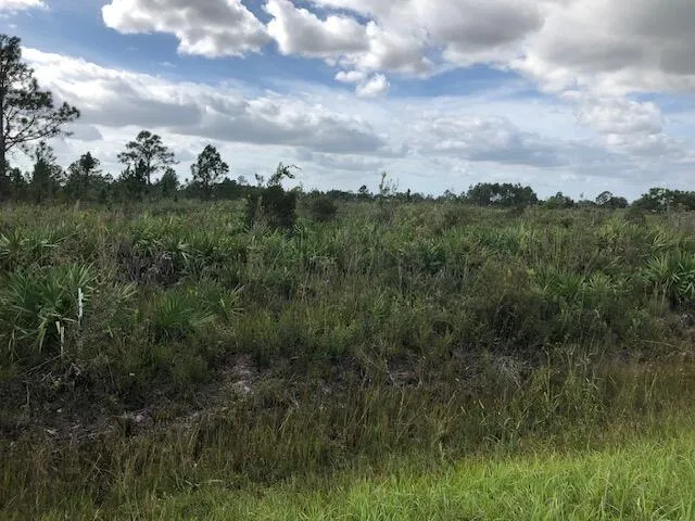 Undetermined ocala, FL 34473