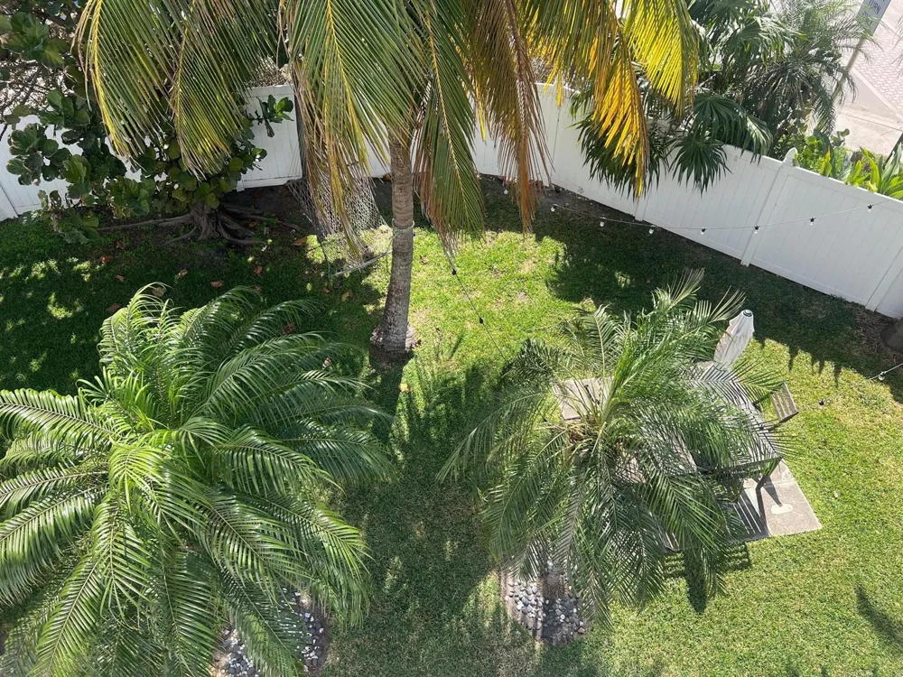 355 Virginia Street Hollywood, FL 33019