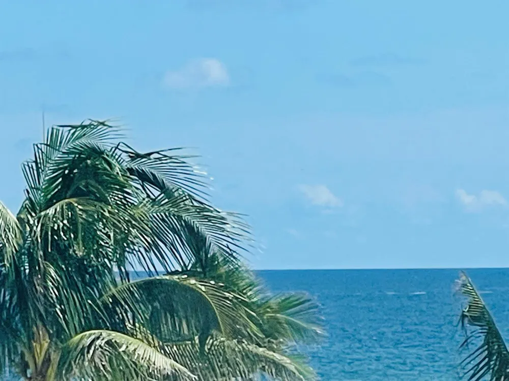 1237 Hillsboro Mile #302 Hillsboro Beach, FL 33062