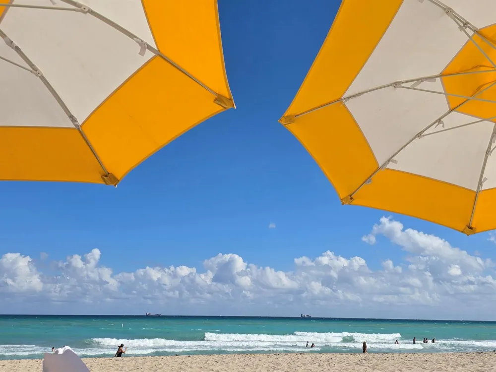 525 Fort Lauderdale Beach Boulevard #901 Fort Lauderdale, FL 33304