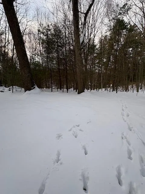 Bayou Road Montague, MI 49437
