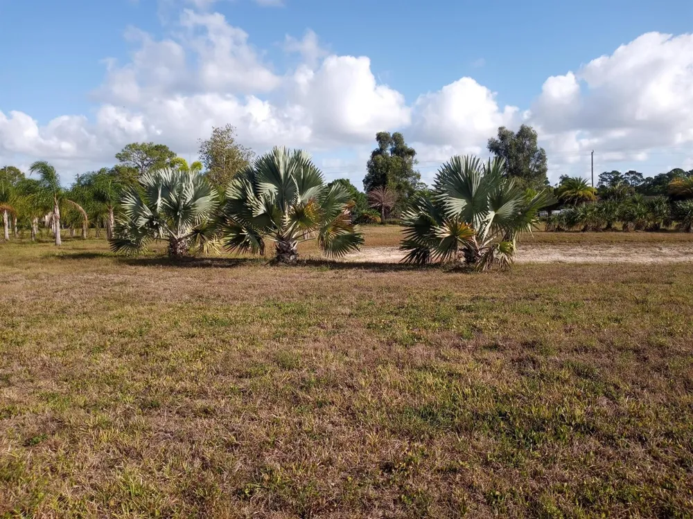 4500 SW Boatramp Avenue Palm City, FL 34990