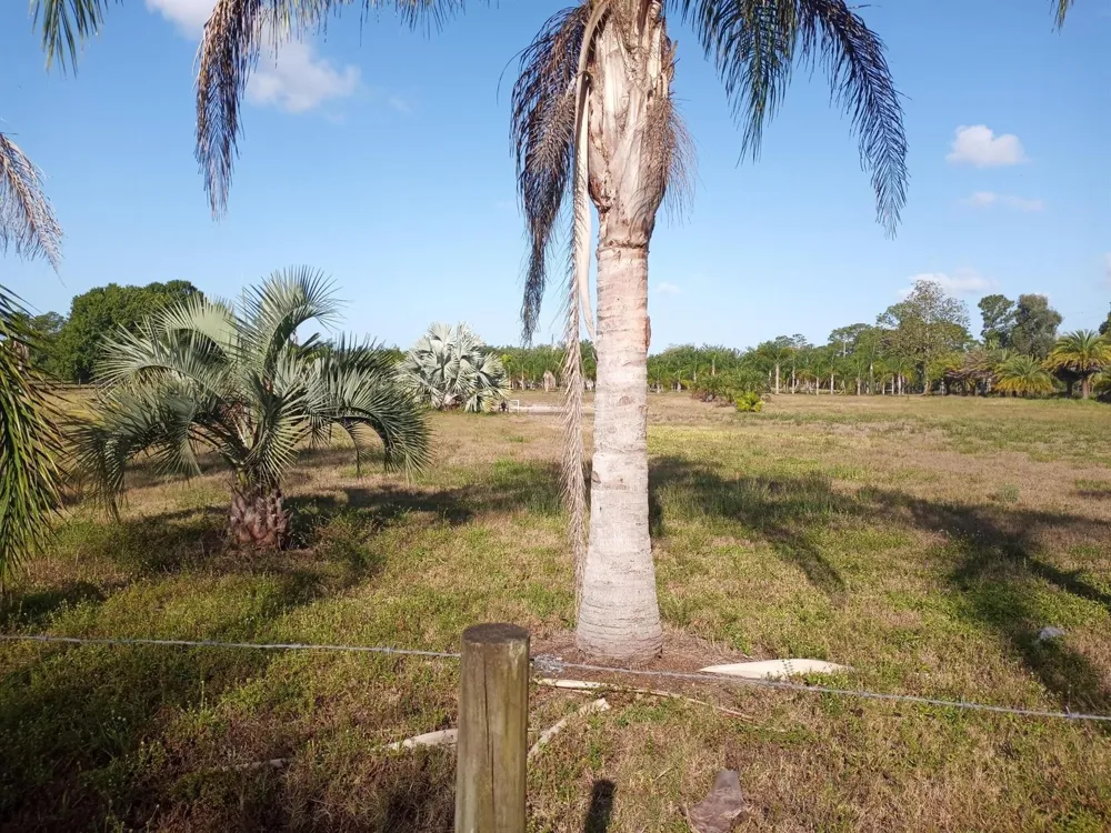 4500 SW Boatramp Avenue Palm City, FL 34990
