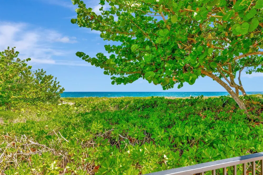 1900 S Ocean Boulevard #8g Lauderdale By The Sea, FL 33062