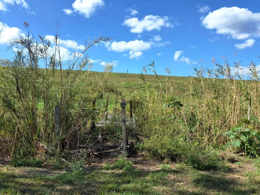 1221 Bacom Point Road Pahokee, FL 33476