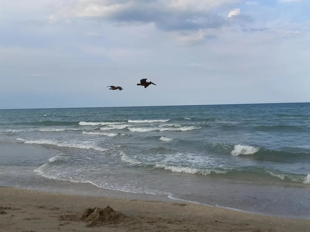 9960 S Ocean Drive #502 Jensen Beach, FL 34957