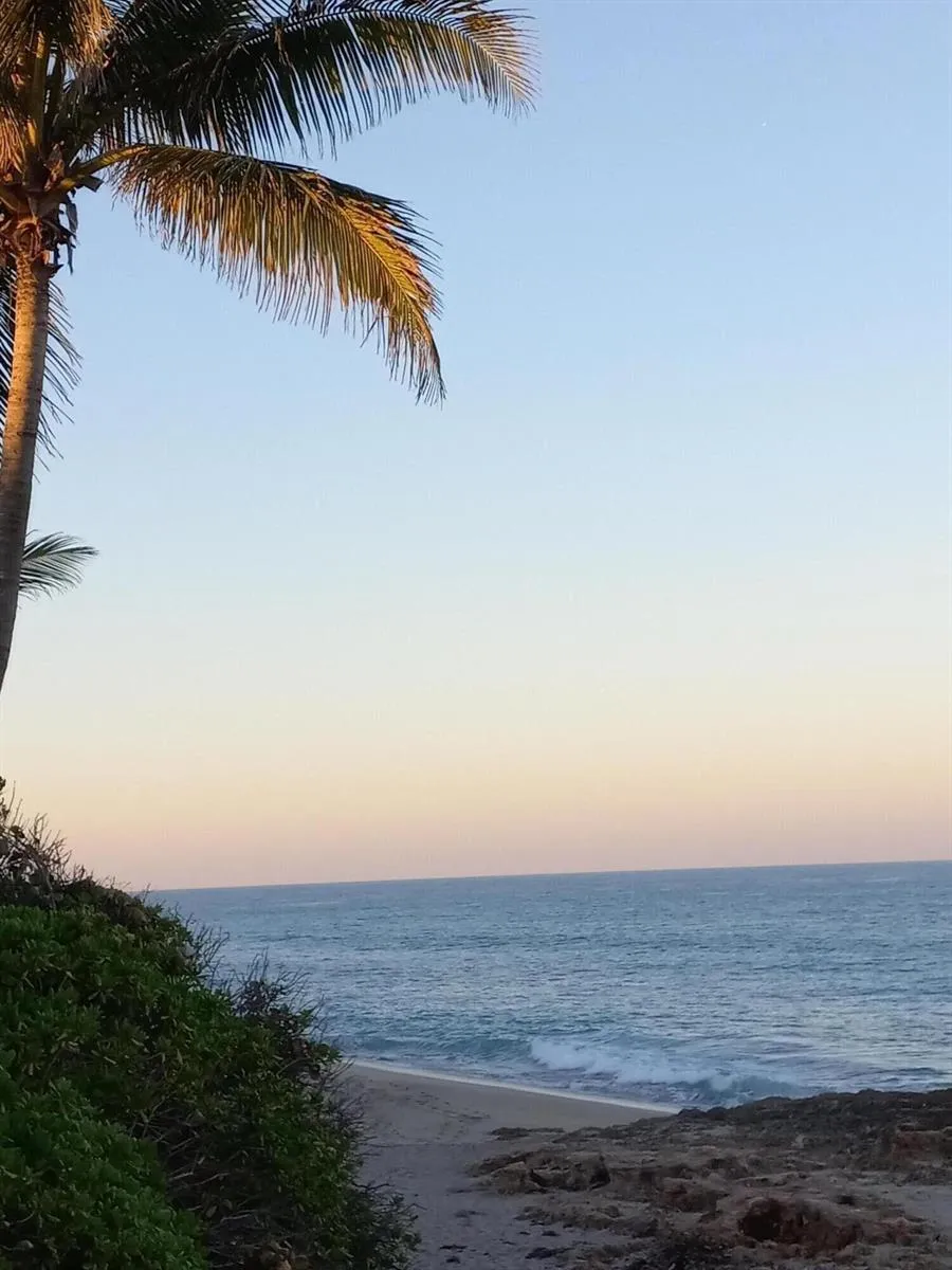 9960 S Ocean Drive #502 Jensen Beach, FL 34957