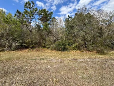 Canoe Creek Road