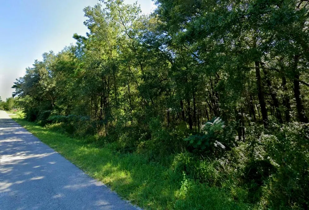 29 NW 112th Avenue ocala, FL 34482