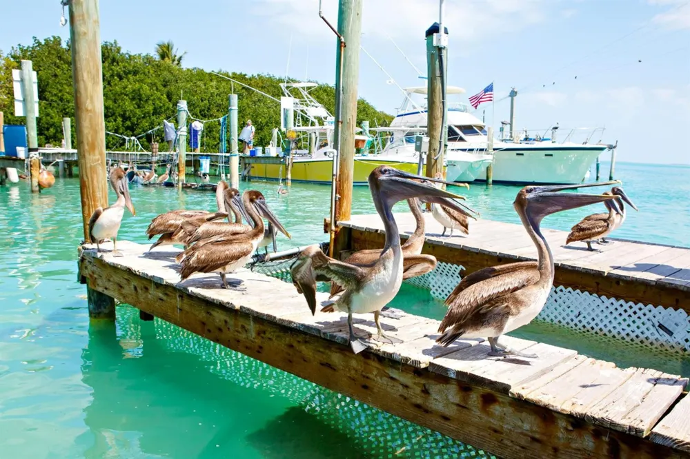 164 Ocean Bay Drive #3-c Key Largo, FL 33037