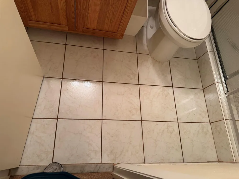 31 Chestnut Circle Cooper City, FL 33026