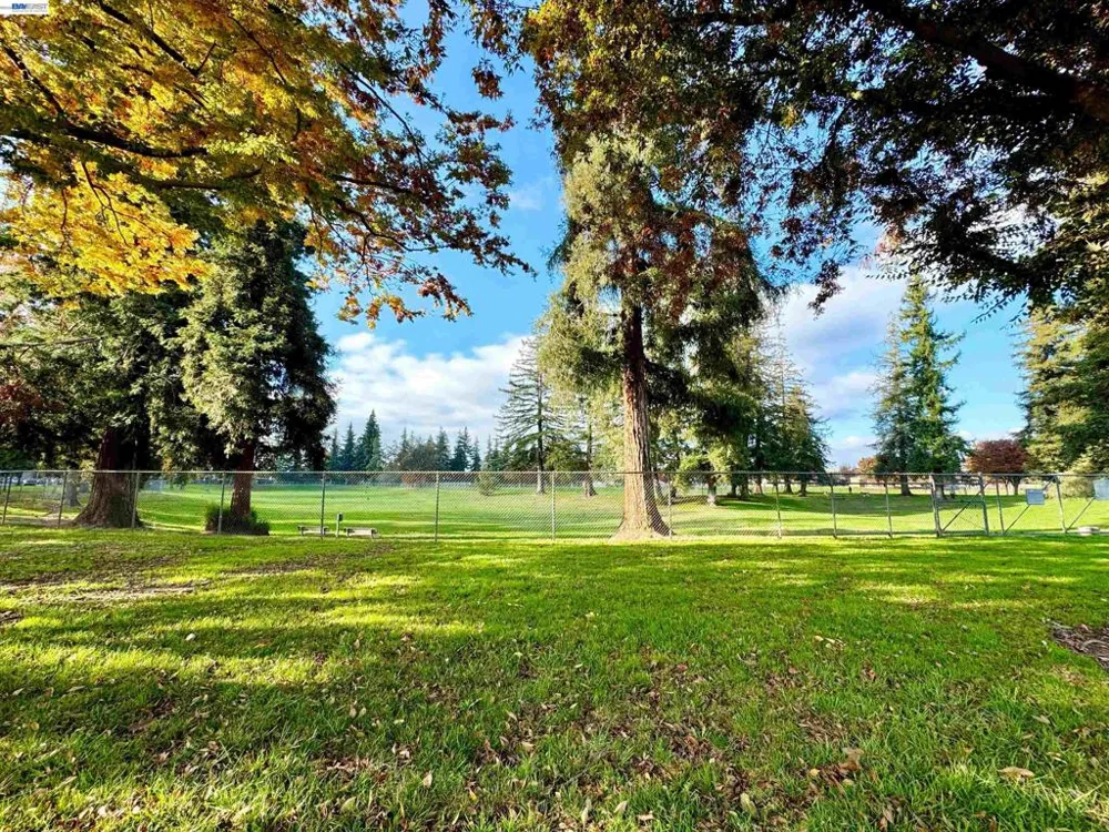 838 Virginia Ave Lodi, CA 95242