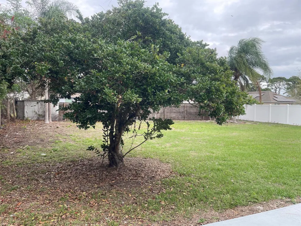 3611 Jupiter Boulevard SE Palm Bay, FL 32909
