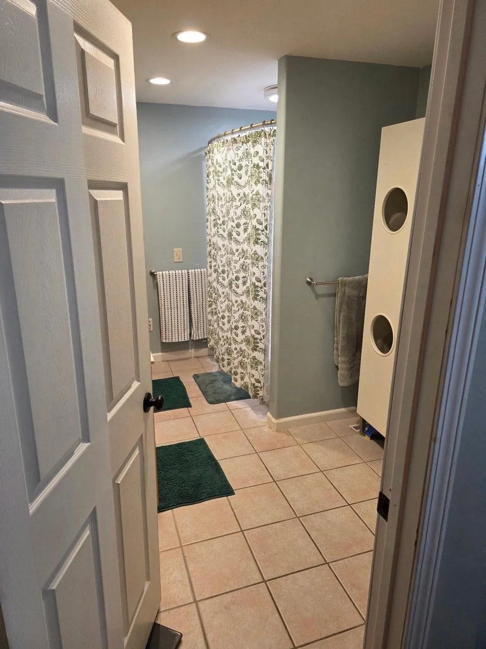 1417 E Weidman Road Isabella Township, MI 48878