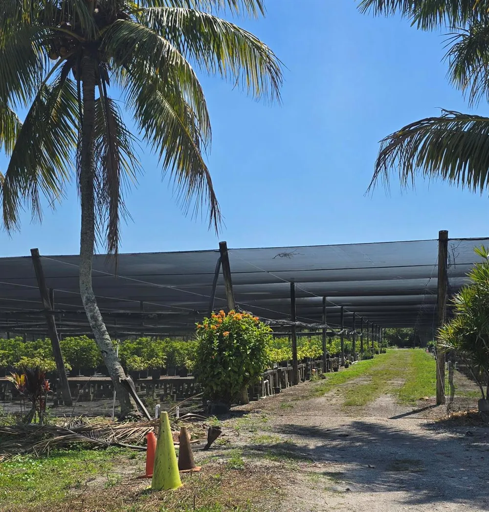 6773 Park Lane W Lake Worth, FL 33449