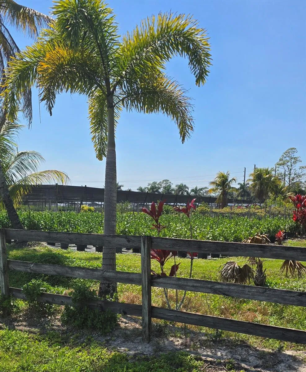6773 Park Lane W Lake Worth, FL 33449