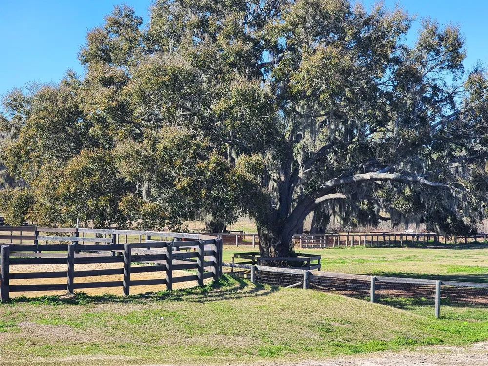 6025 NW 115th Avenue ocala, FL 34482