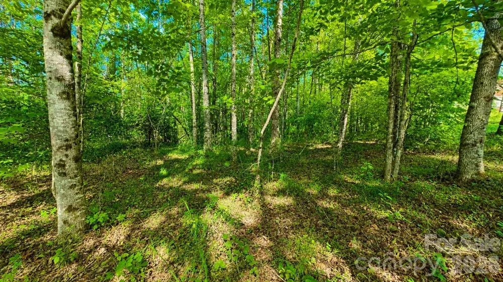CB17 Emerald Court #CB17 Lenoir, NC 28634