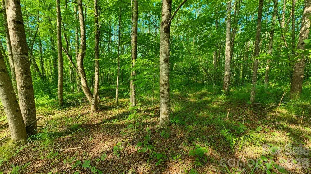 CB17 Emerald Court #CB17 Lenoir, NC 28634