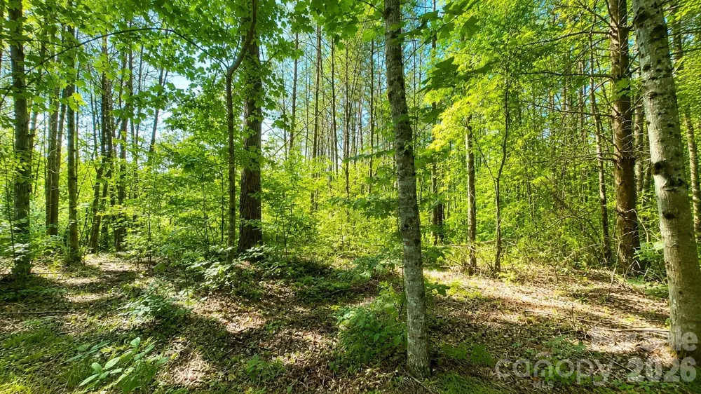 CB17 Emerald Court #CB17 Lenoir, NC 28634