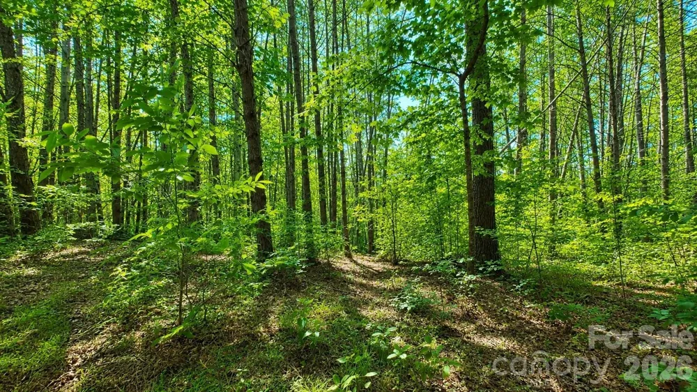 CB17 Emerald Court #CB17 Lenoir, NC 28634